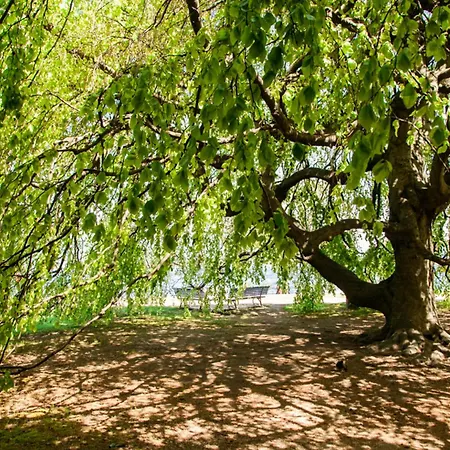 La Casa Di Susanna * Stresa
